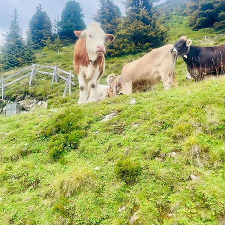 Fruehstueckspension Waldeck Oda ve Kahvaltı Mayrhofen